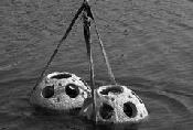 After the reef balls were lowered into the water, the students helped to monitor the fish and oyster populations that made the reef their home. 